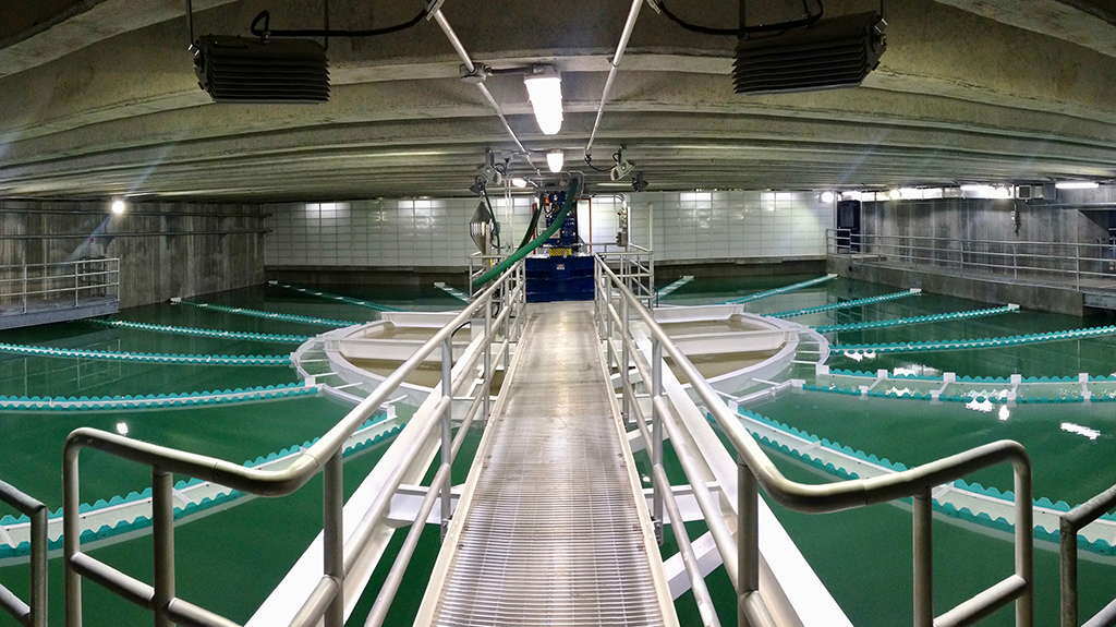 Saint Cloud solids contact clarifier installation