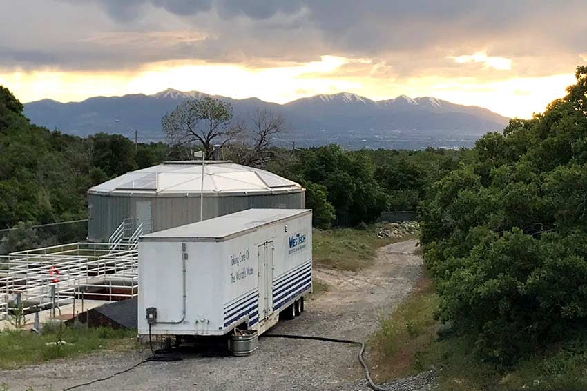Mobile Rental Solutions