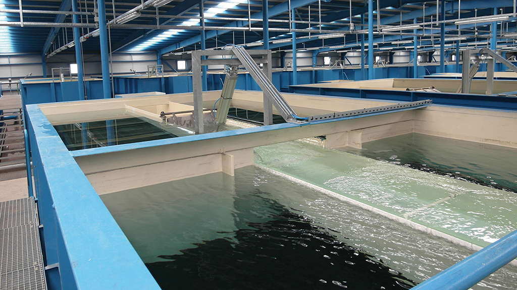 Trident package plants installation
