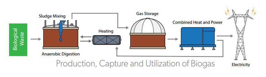Anaerobic digestion biogas flow