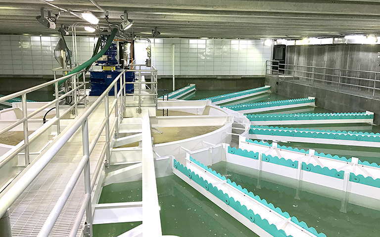 Solids CONTACT CLARIFIER at St. Cloud Minnesota