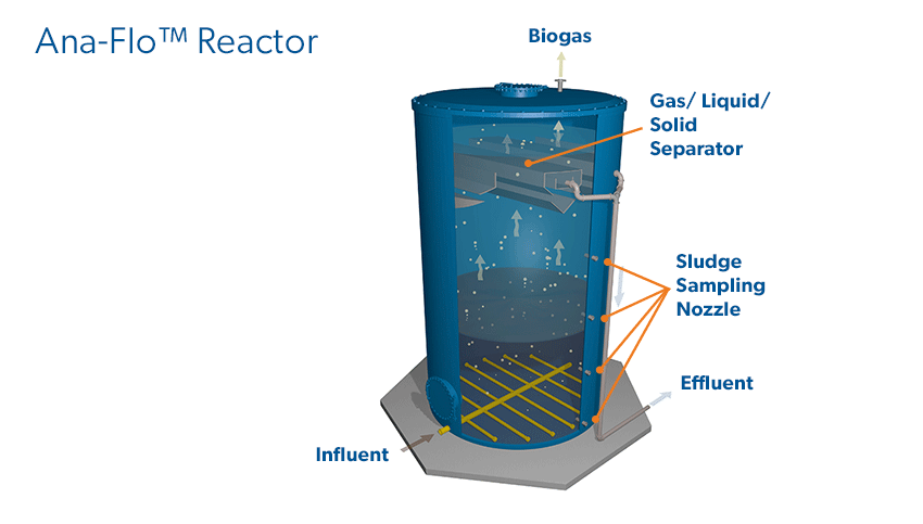 AnaFlo Reactor rendering