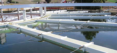Solids CONTACT CLARIFIER